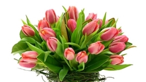elaine_lopez_Mothers_day_flower.jpg